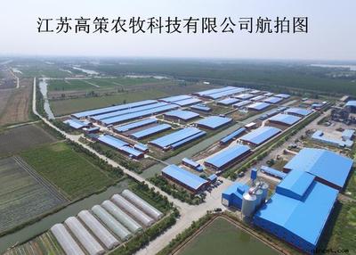 寻找美丽猪场:走猪场第五站-江苏高策农牧科技