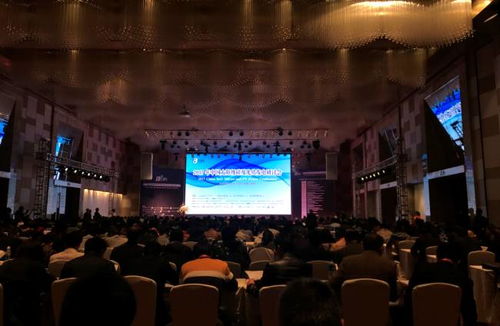 13thcspv,因ni出彩 林洋光伏携 n型双面 亮相2017第十三届中国太阳级硅及光伏发电研讨会